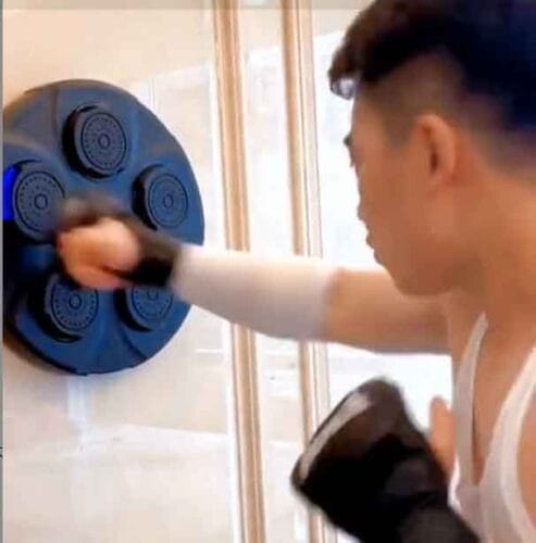 Smart Music Boxing Target photo review