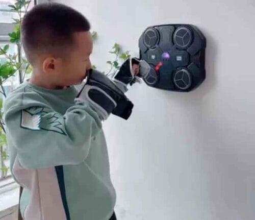 Smart Music Boxing Target photo review